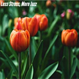 Less Stress, More Jazz - Cafe de Musica Instrumental