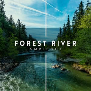 Forest River Ambience: Peaceful Music for Relaxation - Mother Nature Sound FX