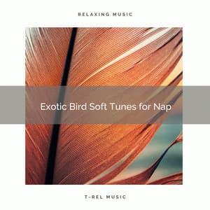 2021 New: Exotic Bird Soft Tunes for Nap - Sleep Songs 101