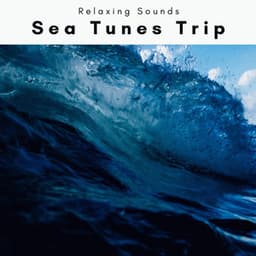 2 0 2 2 Sea Tunes Trip - Sea of Noise