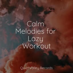 Calm Melodies for Lazy Workout - Ambient Nature White Noise