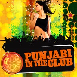 Punjabi In The Club - Ricky Kej