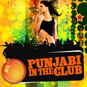 Punjabi In The Club - Ricky Kej