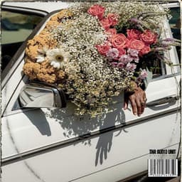 Organic Cruis'n Deluxe - Tha Audio Unit