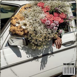 Organic Cruis'n Deluxe - Tha Audio Unit