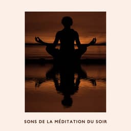 Sons de la méditation du soir: Moment de détente avant de s'endormir, Routine de soins personnels - Musique pour Détendre en Temps Libre