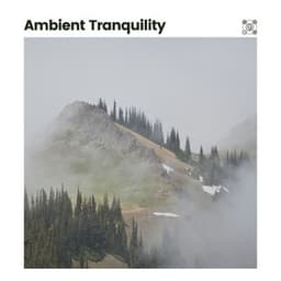 Ambient Tranquility - Ruhige Musik