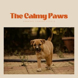 The Calmy Paws - Dog Calming Music
