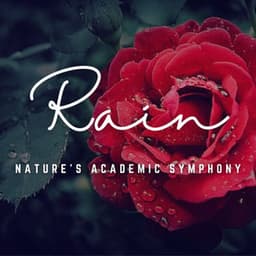 Rainy Study Focus: Nature's Academic Symphony - Gentle Nature