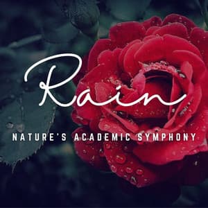 Rainy Study Focus: Nature's Academic Symphony - Gentle Nature