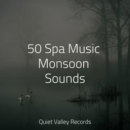 50 Spa Music Monsoon Sounds - Rain Sound Studio