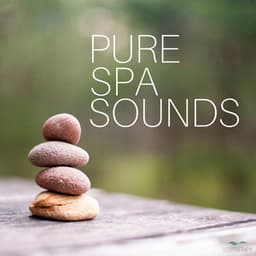 Pure Spa Sounds - SleepTherapy