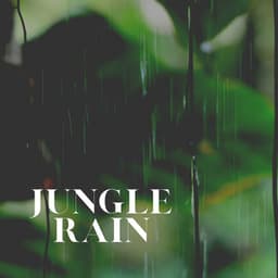 Jungle Rain - Rainy Dreaming