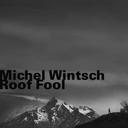 Roof Fool - Michel Wintsch