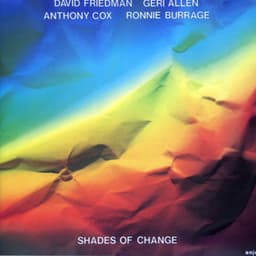 Shades of Change - David Friedman