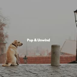 Pup & Unwind - Jazz Elegante para Hoteles
