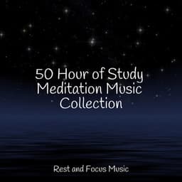 50 Hour of Study Meditation Music Collection - Spa