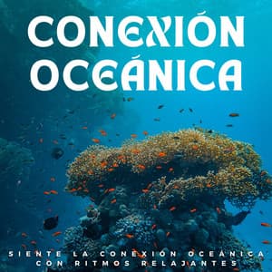 Siente La Conexión Oceánica Con Ritmos Relajantes - Misterios del océano