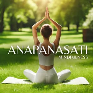 Anapanasati Mindfulness: Focus on Breathing for Deeper Meditation - Mindfulness Meditation Guru