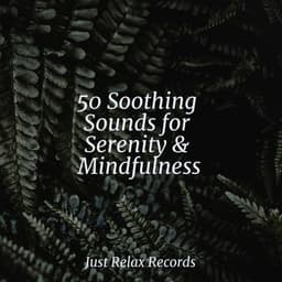 50 Soothing Sounds for Serenity & Mindfulness - Exam Study Classical Music