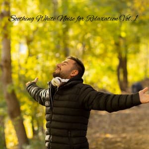 Soothing White Noise for Relaxation Vol. 1 - White Noise Therapy