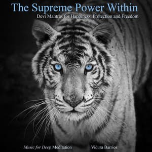 The Supreme Power Within - Devi Mantras for Happiness, Protection and Freedom - Vidura Barrios