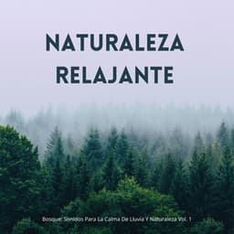 Bosque: Sonidos De Naturaleza Nocturna Relajante Vol. 1 - Tesoros del bosque