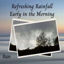 Rain: Refreshing Rainfall Early in the Morning - Rainfall Place