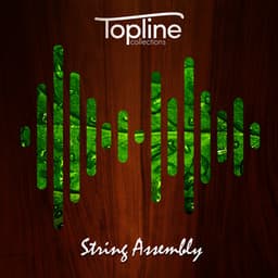 Topline Collections: String Assembly - Dave Cooke