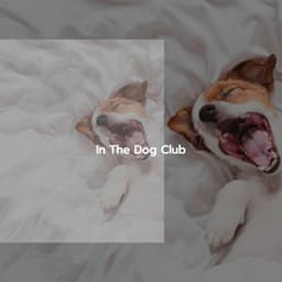 In The Dog Club - Jazz para Relajarse