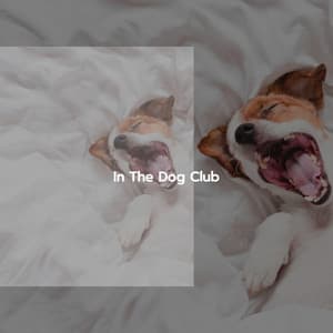 In The Dog Club - Jazz para Relajarse