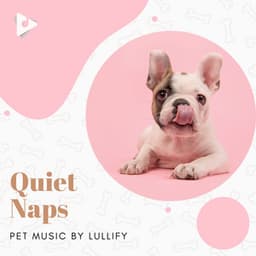 Quiet Naps - Pet Music by Lullify