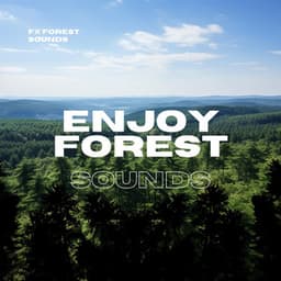 Enjoy Forest Sounds - FX Forest Sounds