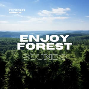Enjoy Forest Sounds - FX Forest Sounds