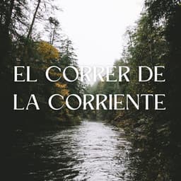 El Correr De La Corriente - Sonidos de agua dulce para la paz interior