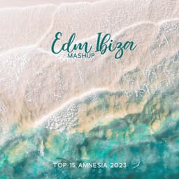 Edm Ibiza Mashup – Top 15 Amnesia 2023 - Edm 2023