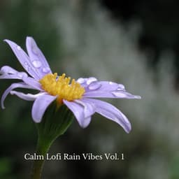Calm Lofi Rain Vibes Vol. 1 - Rain Palace