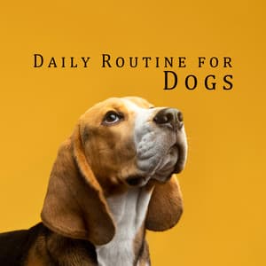 Daily Routine for Dogs: Peaceful Music to Relax Your Dog and Prepare Him for Sleep - Quiet Music Oasis