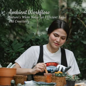 Ambient Workflow: Nature's White Noise for Efficient Focus and Creativity - Vibrations of Nature