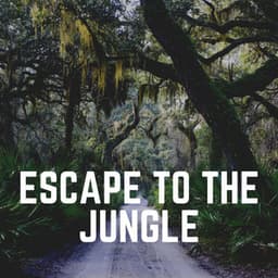 Escape to the Jungle - Nature Of Sweden