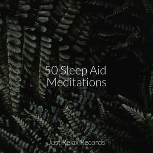 50 Sleep Aid Meditations - Guided Meditation