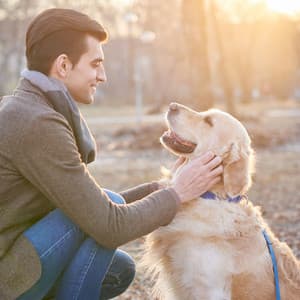 Ocean's Caress: Ambient Waves of Pet Love - Ocean Waves Sleep