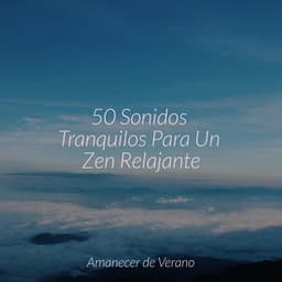 50 Sonidos Tranquilos Para Un Zen Relajante - Meditar Profundamente