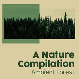 A Nature Compilation - Ambient Forest