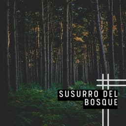 Susurro del Bosque - Música Relajante Para Leer