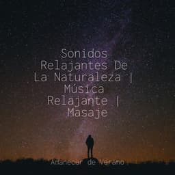 Sonidos Relajantes De La Naturaleza | Música Relajante | Masaje - Rising Higher Meditation