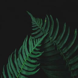 Sleep Music For Deep Sleep time - Baby Sleep Music