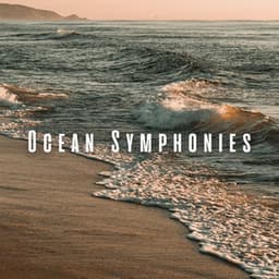 Ocean Symphonies: Binaural Theta Waves for Calm Pets - Ocean in HD