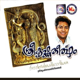 Sreekrishna Theertham - Madhu Balakrishnan