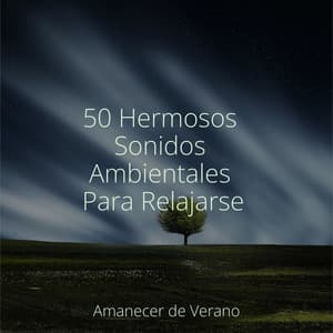 50 Hermosos Sonidos Ambientales Para Relajarse - Academia de Música con Sonidos de la Naturaleza